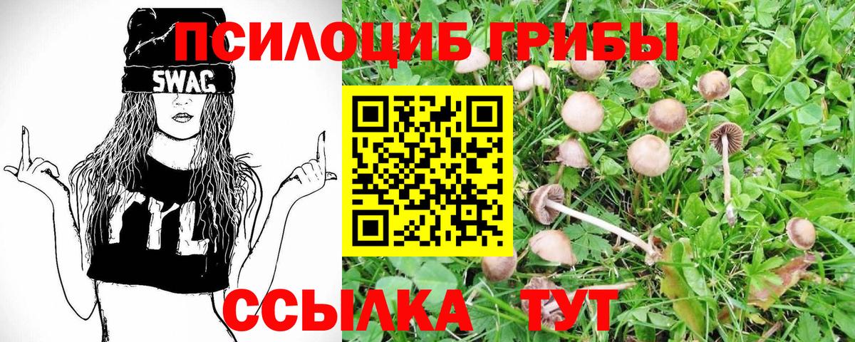 Псилоцибиновые грибы Cubensis  Галлюциногенные грибы Psilocybe  Бахчисарай  Вход с VPN 