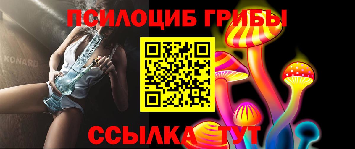 Галлюциногенные грибы Psilocybe Бахчисарай